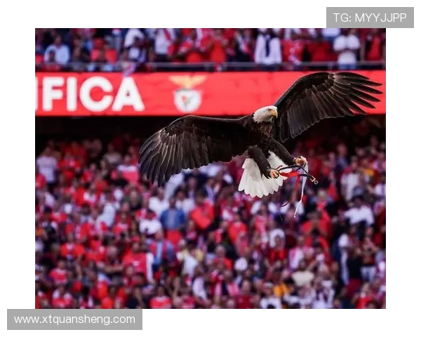 足球场上球星脱衣庆祝瞬间分析:激情背后隐藏的心理与文化意义 足球场上球星脱衣庆祝瞬间分析:激情背后隐藏的心理与文化意义